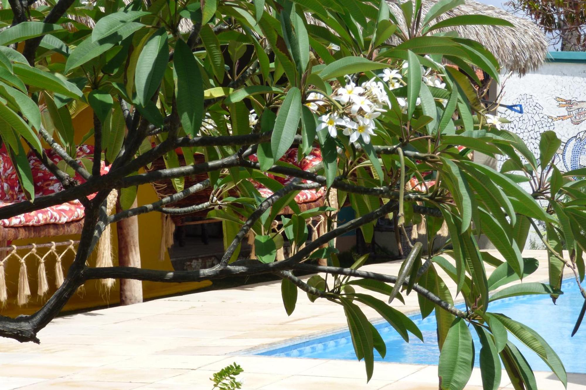 Hotel A Toca Do Bem-Te-Vi Águas Belas Exterior foto